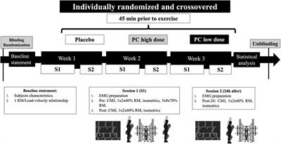 Effects of different phenylcapsaicin doses on neuromuscular activity and mechanical performance in trained male subjects: a randomized, triple-blinded, crossover, placebo-controlled trial